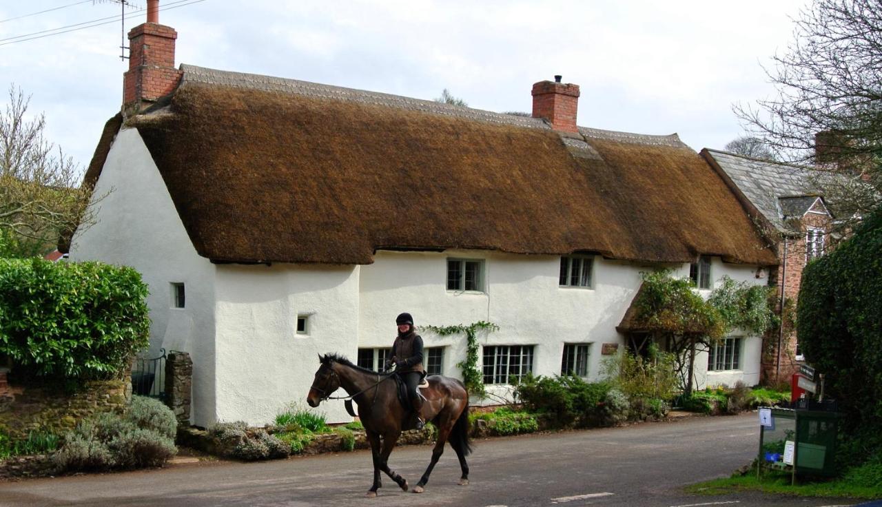 Notley Arms Inn Exmoor National Park Elworthy ภายนอก รูปภาพ