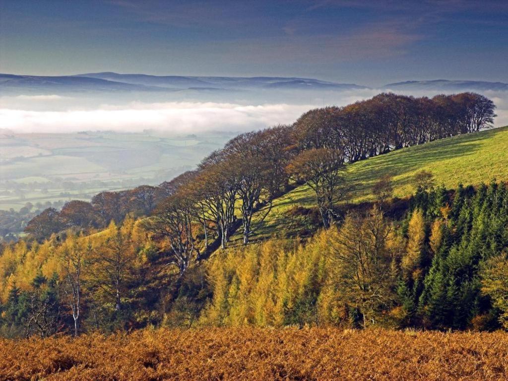 Notley Arms Inn Exmoor National Park Elworthy ภายนอก รูปภาพ
