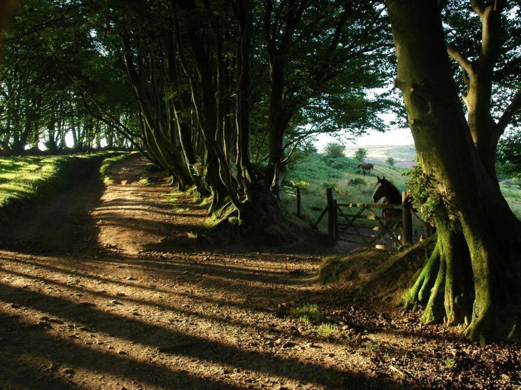 Notley Arms Inn Exmoor National Park Elworthy ภายนอก รูปภาพ