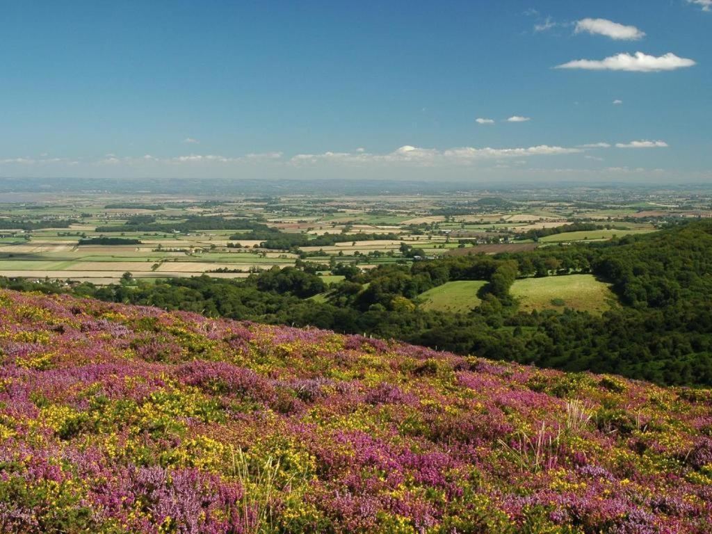 Notley Arms Inn Exmoor National Park Elworthy ภายนอก รูปภาพ